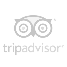 tripadvisor